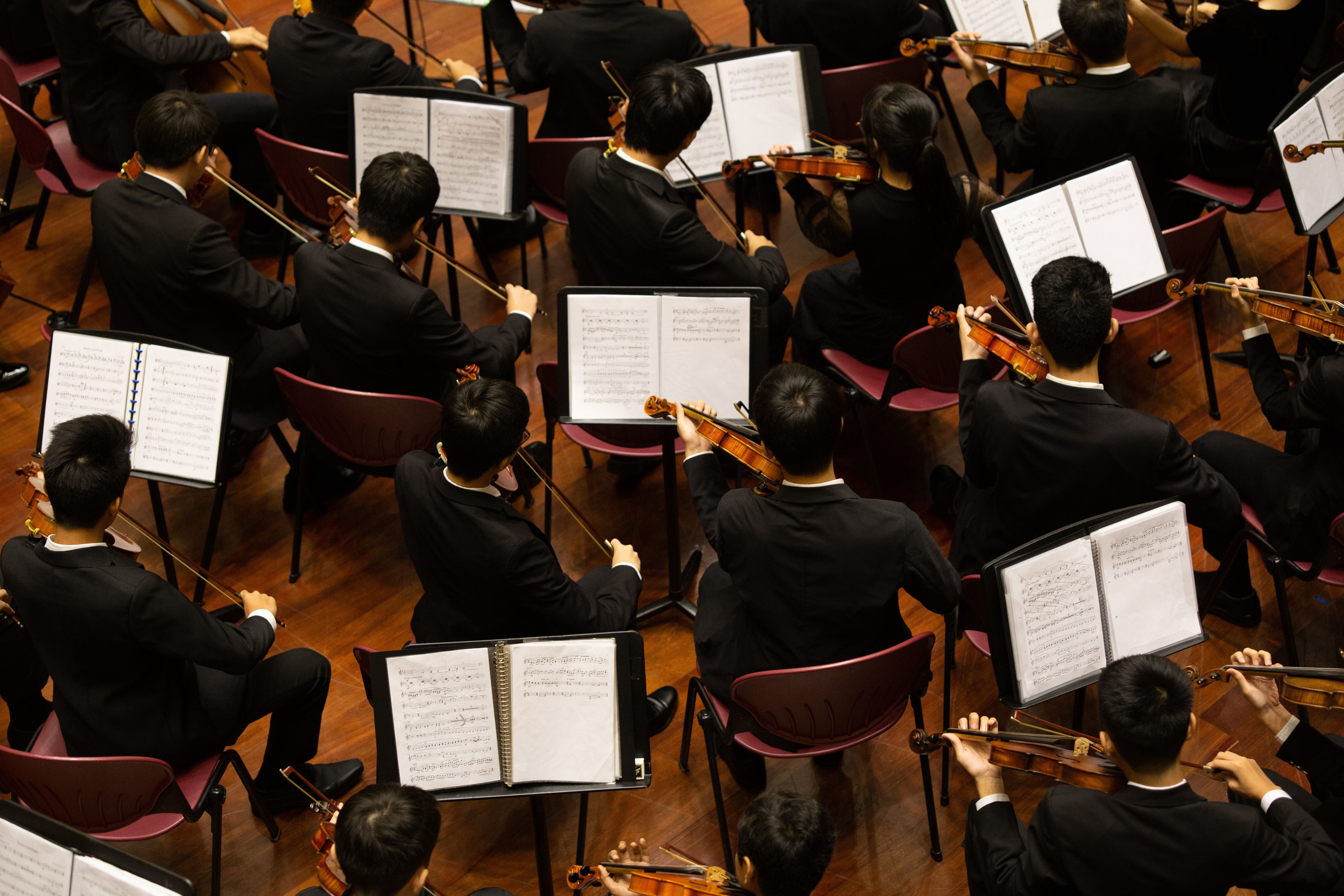musicians in an orchestra from above